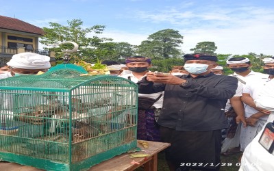 Perayaan Tumpek Uye di SMK Negeri 4 Bangli dalam Menjaga Keharmonisan dan Keseimbangan Alam Bali